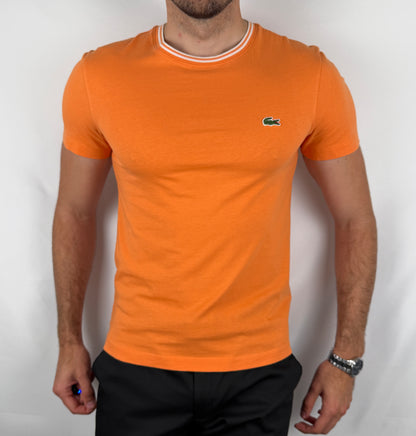 Tee Shirt Lacoste - XS